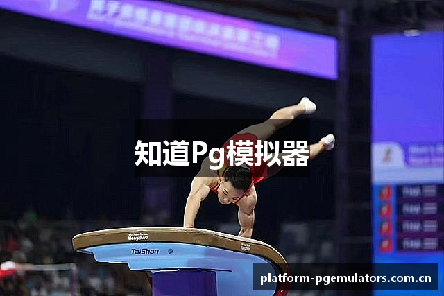 知道Pg模拟器